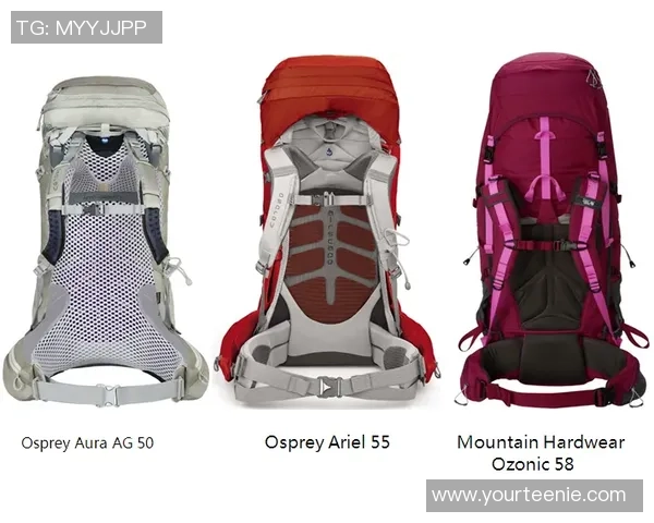 篮球装备选购指南：精选护具推荐助你提升场上表现